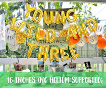 Load image into Gallery viewer, Lemon "Young, Wild and Three" Birthday Decoration Set (For Sale)