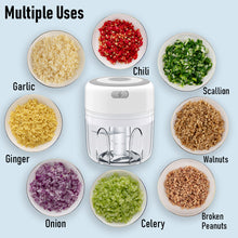 Load image into Gallery viewer, Electric Mini Food Chopper